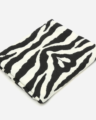 Zebras Manta de Misako imagen general 