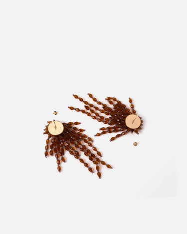 Ambar pendientes largos 